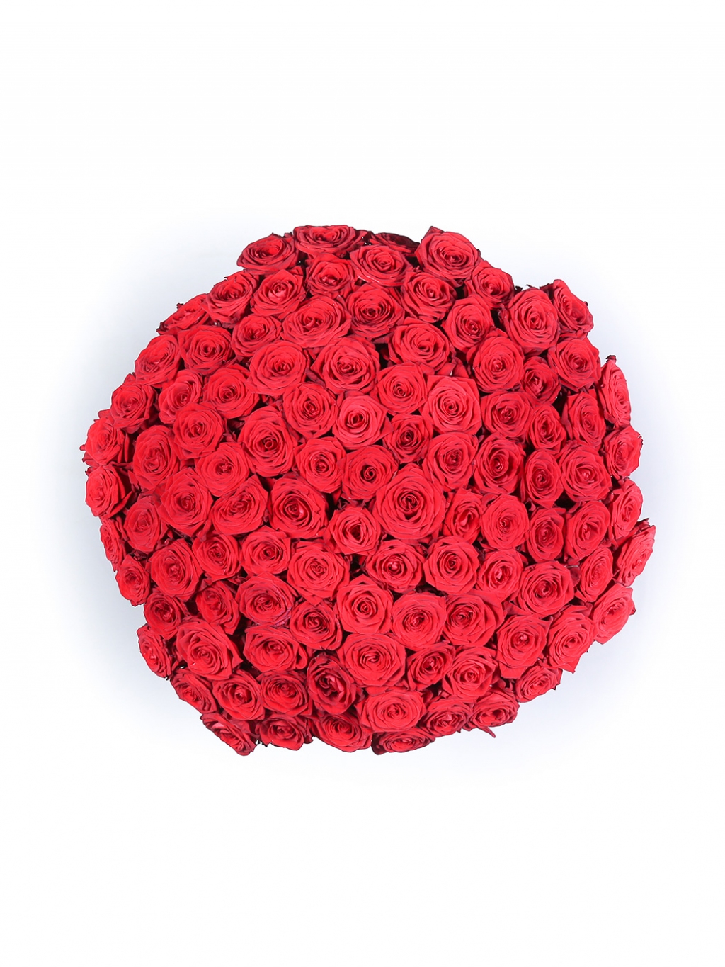 Růže rudé 70cm - PREMIOVÁ KVALITA - 15ks